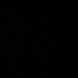 Meet your Posher, Daniella